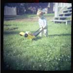 Emmett mowing